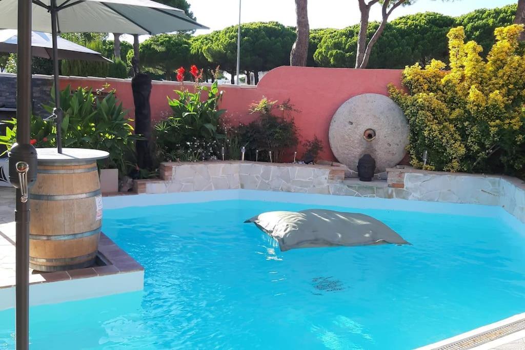 Hebergement Insolite Studio Grau Du Roi Mas Des Marines Piscine Ле-Гро-дю-Руа Екстер'єр фото